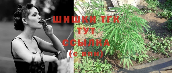 хмурый Нефтекумск