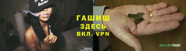 хмурый Нефтекумск