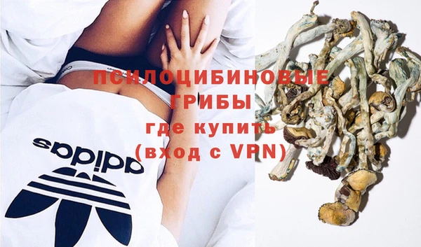 хмурый Нефтекумск